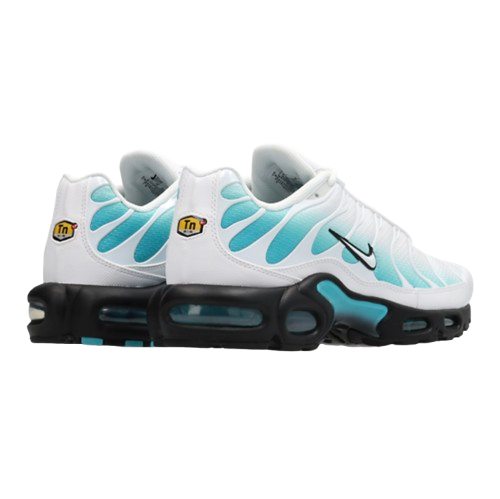 AM Vague Aqua